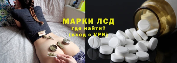 PSILOCYBIN Майский