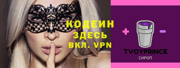 хмурый Мегион