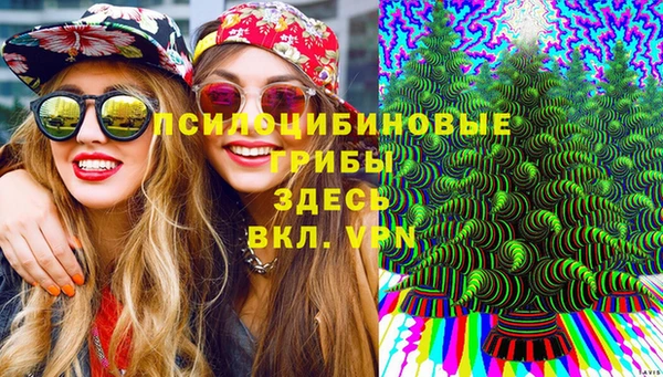 дмт Магас