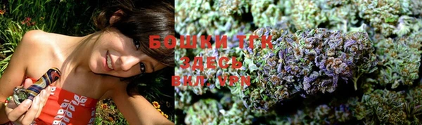 PSILOCYBIN Майский