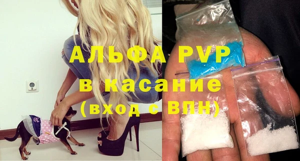 PSILOCYBIN Майский