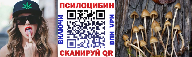 Псилоцибиновые грибы GOLDEN TEACHER  Ленск 